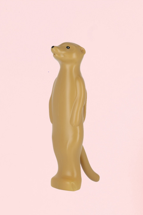 Suricate