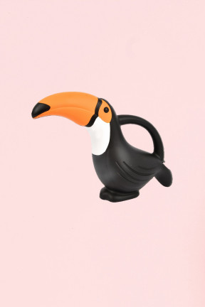 Toucan